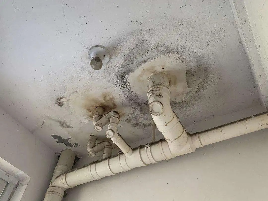 裝修后為何防水仍然滲水？原來問題出在這些地方